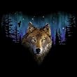 Wolf Adult T-Shirt