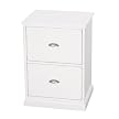 Coastline 2-Drawer File - White