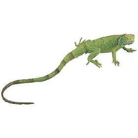 Incredible Creatures: Iguana Baby