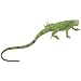 Incredible Creatures: Iguana Baby