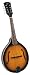 Musical Instruments : Rover RM-50 Player Series A Model Mandolin (Sunburst Finish)