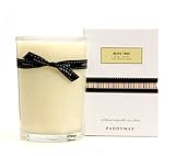 Paddywax - Classic Olive Tree