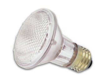 Halogen PAR Flood Light, 50 Watt PAR 20, 120 Volt, 30 Narrow Flood