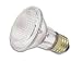 Tools & Hardware : Halogen PAR Flood Light, 50 Watt PAR 20, 120 Volt, 30° Narrow Flood