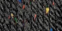 Classic Wool Yarn Tweeds-Black Tweed