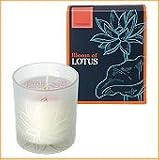 Bloom of LOTUS �t���O�����X�L�����h���@�t�����W���p�j 150g