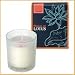 Bloom of LOTUS �t���O�����X�L�����h���@�t�����W���p�j 150g