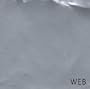 Web