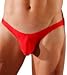Joe Snyder Bulge Full Bikini JSBUL04