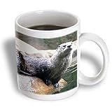 Wild animals - Otter - Mugs