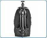 Think Tank ~ Street Walker