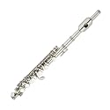 Cecilio Nickel Plated Piccolo with Case