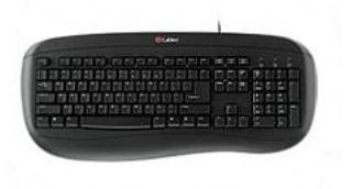 Childrens Toyshop  Electronics : Labtec standard keyboard plus