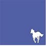 White Pony