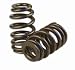 Beehive Street/Strip Valve Springs GM Gen III/LS1/LS6 1.055/1.29 in. Single Beehive O...