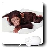 Monkey - Cute Chimpanzee - Mouse Pads