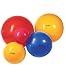 Sporting Goods : Gymnic Exercise Ball