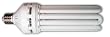 Hydrofarm FLC125D 125-Watt Daylight Compact Fluorescent Bulb