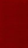 Faust in Literature (University of Durham Publications)