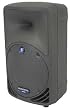 Mackie C200 10-inch 2-Way Compact SR Monitor