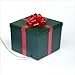 Evergreen Seasons Large Green Square Present with Red Bow 2.7 Gallon Watering System