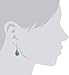 Amazon Collection Sterling Silver Turquoise Genuine Stone Roped Teardrop Earrings