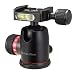 ���¹�͢���ʡ�Photo Clam PRO-30NSP Head-3/8-Inch Socket, Friction Screw, Side and Top Bubble Level PRO-30NSP