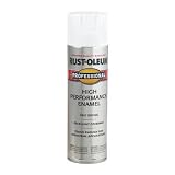 FLAT WHT PRO SPRAY PAINT