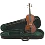 Florea Persoana Violin Outfit, 4/4 Size