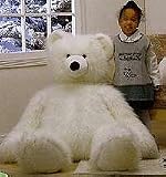 Beauchamp Bear