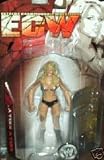Review Jakks  / WWE ECW Kelly Kelly Series 2 Figure
