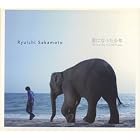 Shining Boy and Little Randy by  Ryuichi Sakamoto 