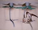 Eave-Mounted Hummingbird House (pack of 2)