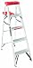 Black & Decker BXL2210-05  5-Feet  225 Pound Duty Rating Aluminum Step Ladder Type II