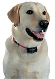 PetSafe PBC-102 No-Bark Collar