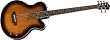 Washburn Acoustic/Electric Series AB45VSK Acoustic-Electric Bass