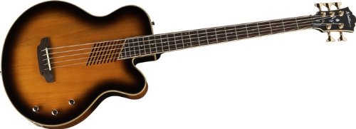 Washburn Acoustic/Electric Series AB45VSK Acoustic-Electric Bass