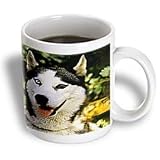 Dogs Siberian Husky - Siberian Husky - Mugs