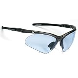  : Alpina Brille Guard 40, anthrazit