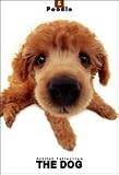 THE DOG Artlist - Poodle - Hand Book - 6 Postcards
