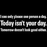 I can only please one person a day. Today is Not your day. T-shirt Oneliner