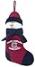 South Carolina Fighting Gamecocks 22