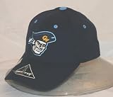 George Washington Colonials Adult  One-Fit Hat