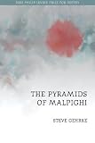 The Pyramids of Malpighi
