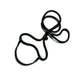 Mendota Big Dog Walker - 1/2 x 6' - Orange