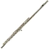 Cecilio Nickel Plated Flute with Case and Accessories