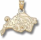 Navy Midshipmen Action Goat Pendant - 10KT Gold Jewelry