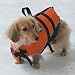 ���Υ饤�ե��㥱�åȡ����������ե����ƥ��󥰥٥��ȡ�XXS
