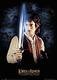 Lord of the Rings Poster LOTR Frodo & Sting