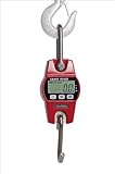 Zoom Produkt-Bild: Hergestellt für DEMA Kranwaage / Wildwaage digital 300 Kg